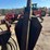 holt-excavator-tree-spade-attachment-image-8