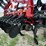 2021-international-11-image-20