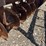 plow-10ft-pull-behind-dics-2403-image-4