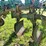 harrell-3606-image-4