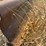#26628-•-8'-levee-butt-blade-image-7