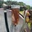 #26630-•-~2600gal-fuel-tank-128260-image-8
