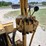 caterpillar-d4c-image-33