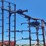 allis-chalmers-1300-e-30'-field-cultivator-w/3-bar-spike-harrow-image-24