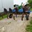 dmi-colter-champ-image-7