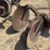 2-bottom-disk-plow-image-3