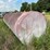 #26630-•-~2600gal-fuel-tank-128260-image-3