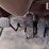 2016-peterbilt-367-image-12