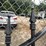 two-8-foot-gates-with-horse-image-3
