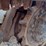 2020-bobcat-t595-image-22