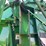 2023-john-deere-560m-image-37
