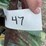 john-deere-350-image-11