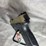 #4395-•-taurus-g2c-9mm-luger-pistol,-sn:-ael857955-image-19