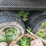 2014-deere-437d-image-44