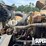(x)-(11-1)-2009-mack-gu713-t/a-truck-tractor-w/-da-image-5