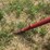 #26606-•-sitrex-columbia-tr1113-hay-rake-image-26