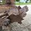 new-idea-207-image-10