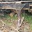 2014-deere-437d-image-75