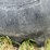 brent-572-image-5