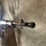 #4436-•-husqvarna-m38-6.5x55-bolt-action-rifle,-sn:-616286-image-3