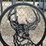 two-8-foot-gates-with-whitetail-image-3