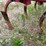 glencoe-9-shank-disc-chisel-image-11