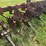 case-ih-30-image-6