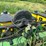 john-deere-30-image-23