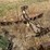 #26628-•-8'-levee-butt-blade-image-2