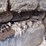 2012-caterpillar-ap-255e-image-33
