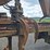 2004-tigercat-240b-image-16