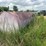 #26630-•-~2600gal-fuel-tank-128260-image-2