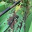 2018-john-deere-hx15-image-5