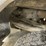 2012-ford-f350-image-10
