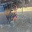 2020-international-mv-image-10