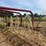 #26606-•-sitrex-columbia-tr1113-hay-rake-image-16