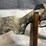 #4456-•-winchester-xpr-300-win-mag-bolt-action-rifle,-sn:-pt09578yw357-image-7