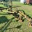 harrell-3606-image-2