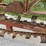 vermeer-model-12-pto-field-tiling-machine-image-21