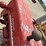 10663---ih-b-250-diesel-(sn#-20883)-image-7