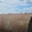 #20849-•-fuel-tank-image-10