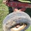 j&m-350-hopper-wagon-w/running-gear-image-30