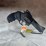 #4380-•-taurus-m44-44-rem-mag-revolver,-sn:-ael81709-image-3