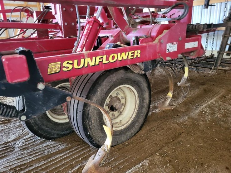 sunflower-5055-50-image-53