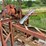 vermeer-model-12-pto-field-tiling-machine-image-23