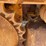 international-td-9--diesel-ag-crawler-image-8