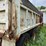 1983-kenworth-w900-image-6