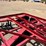 #24-•-ih-pull-type-disk--12ft-image-14