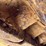 caterpillar-d3g-lgp-image-19
