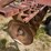 case-ih-480-image-32